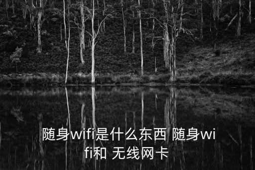  隨身wifi是什么東西 隨身wifi和 無線網(wǎng)卡