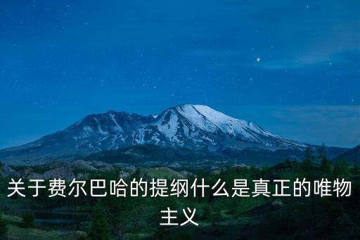 關于費爾巴哈的提綱什么是真正的唯物主義