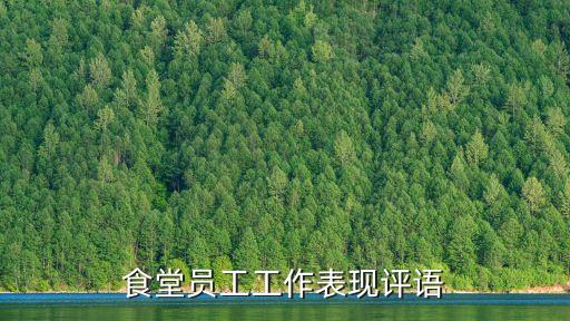 食堂員工工作表現(xiàn)評語