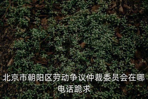 北京市朝陽(yáng)區(qū)勞動(dòng)爭(zhēng)議仲裁委員會(huì)在哪電話(huà)跪求