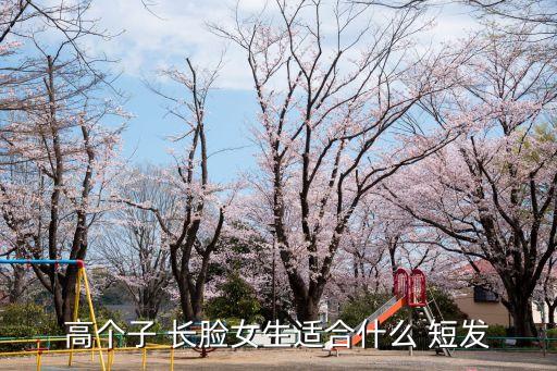 長臉適合什么短發,女生瘦臉攻略（16）
