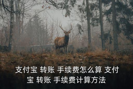 支付寶轉(zhuǎn)賬手續(xù)費(fèi)