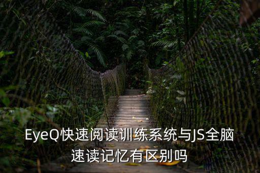 eyeq，怎樣彌補文理科的差距呢