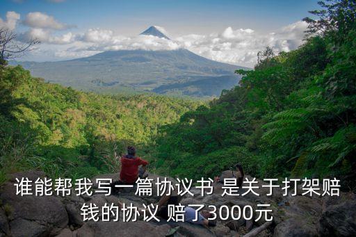 誰能幫我寫一篇協議書 是關于打架賠錢的協議 賠了3000元