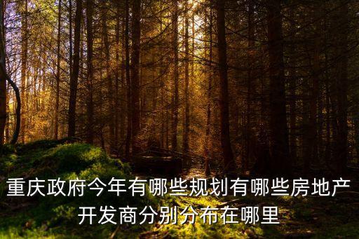 重慶政府今年有哪些規劃有哪些房地產開發商分別分布在哪里
