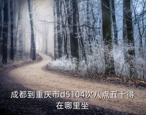 成都到重慶市d5104次八點五十得在哪里坐
