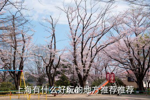 上海有什么好玩的地方推薦推薦