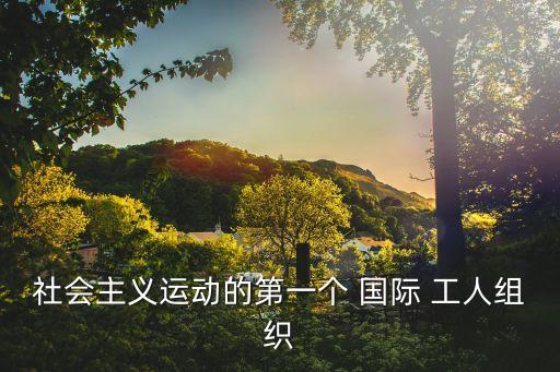 國際工人協會,第一國際是2工人聯合組織不是階級政黨