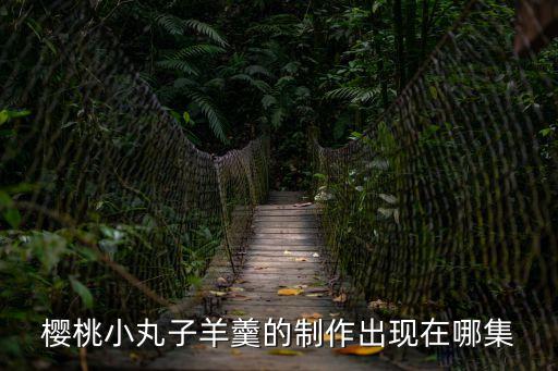 櫻桃小丸子羊羹的制作出現在哪集