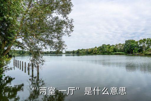 兩室一廳平面圖,三號房一廳和兩室一廳哪個大?答案出爐