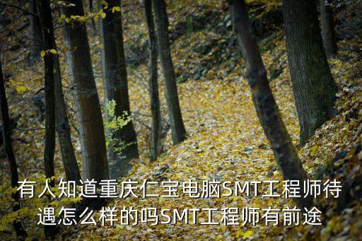 有人知道重慶仁寶電腦SMT工程師待遇怎么樣的嗎SMT工程師有前途