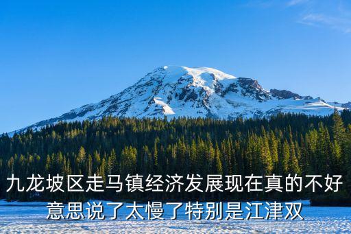 九龍坡區(qū)走馬鎮(zhèn)經(jīng)濟發(fā)展現(xiàn)在真的不好意思說了太慢了特別是江津雙