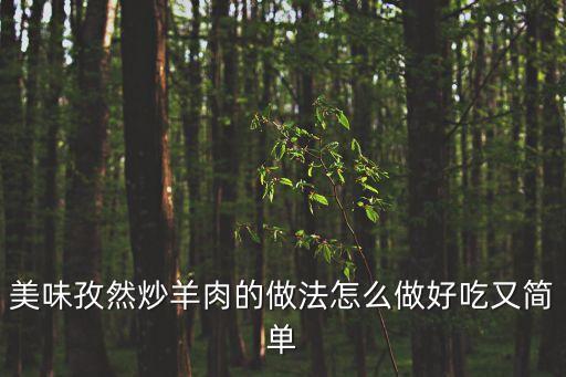 美味孜然炒羊肉的做法怎么做好吃又簡(jiǎn)單