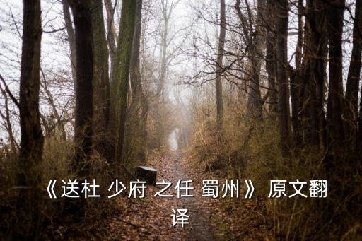 《送杜 少府 之任 蜀州》 原文翻譯