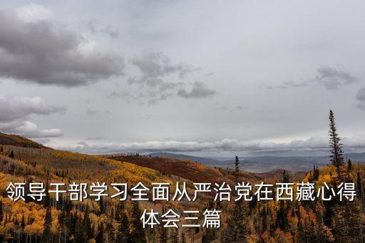 領導干部學習全面從嚴治黨在西藏心得體會三篇