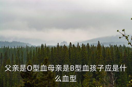 父親o型血母親b型血孩子什么血型，爸爸o血 媽媽B血 孩子的血型是什么