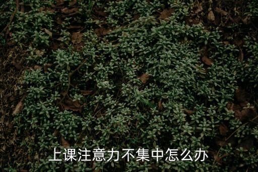 上課注意力不集中怎么辦
