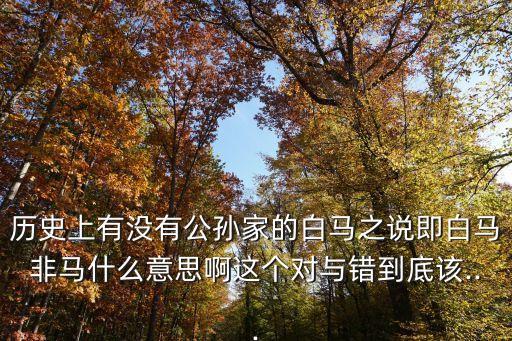 馬馬也,求一匹白馬，黑馬不能引起