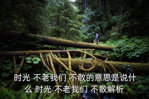  時光 不老我們 不散的意思是說什么 時光 不老我們 不散解析