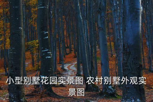小型別墅花園實景圖 農村別墅外觀實景圖