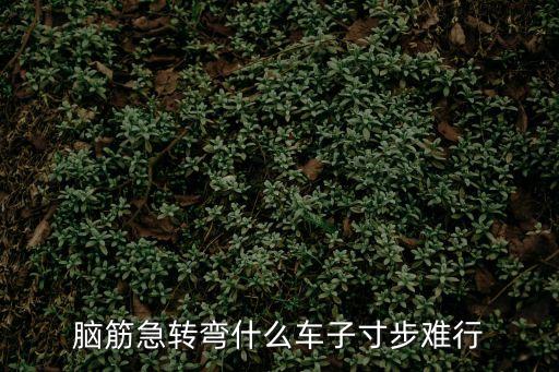 腦筋急轉彎什么車子寸步難行