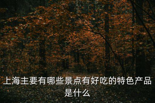 上海主要有哪些景點有好吃的特色產品是什么