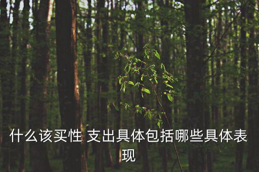 購買性支出,購買sex支出直接表現(xiàn)為政府活動購買商品或服務(wù)