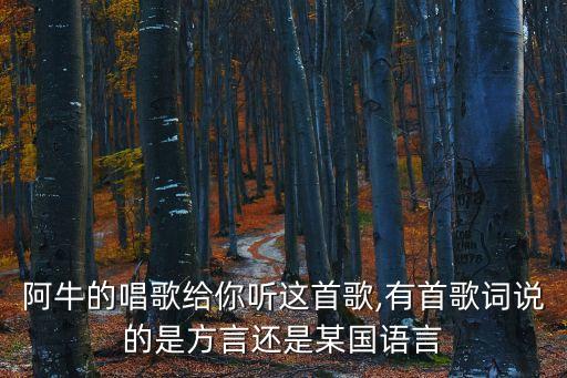 水查某,馬來西亞男子唱了很多閩南語歌