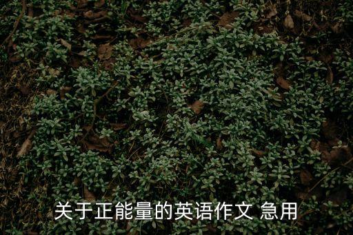 正能量英文，關(guān)于正能量的英語作文 急用