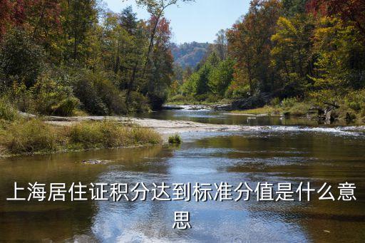 上海居住證積分達(dá)到標(biāo)準(zhǔn)分值是什么意思
