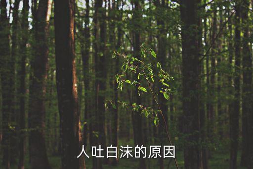 人吐白沫的原因