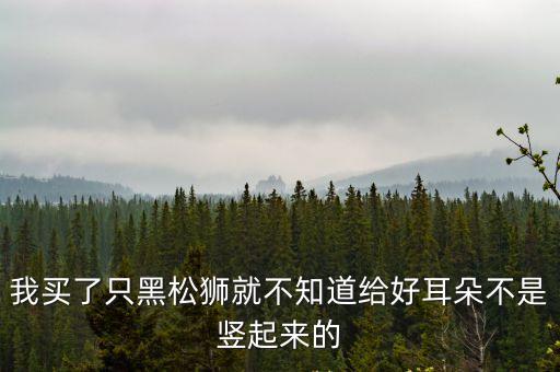 我買了只黑松獅就不知道給好耳朵不是豎起來的