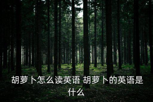  胡蘿卜怎么讀英語 胡蘿卜的英語是什么
