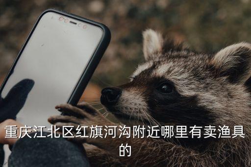 重慶市江北區漁具商場，重慶江北觀賞魚店