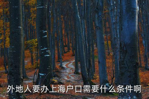 外地人要辦上海戶口需要什么條件啊