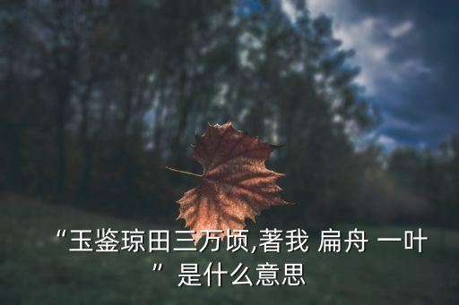 “玉鑒瓊田三萬頃,著我 扁舟 一葉”是什么意思