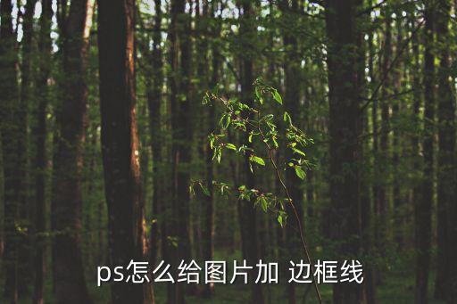 ps加邊框,ps如何添加圖片邊框?