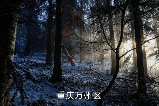 重慶萬州區(qū)