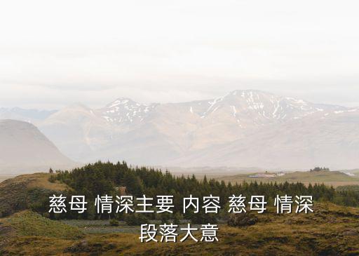 慈母情深的主要內容