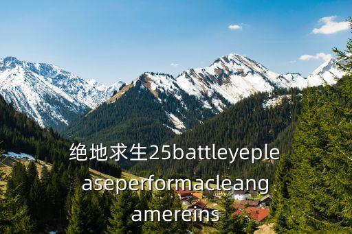 25game,pubg絕地求生數據錯誤中文翻譯成英文