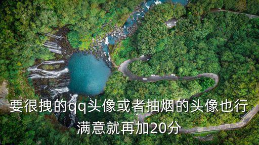 很拽的圖片，要很拽的qq頭像或者抽煙的頭像也行滿意就再加20分