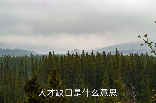 人才缺口是什么意思