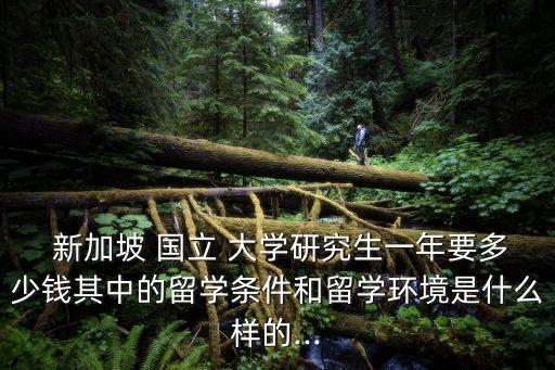  新加坡 國立 大學研究生一年要多少錢其中的留學條件和留學環(huán)境是什么樣的...