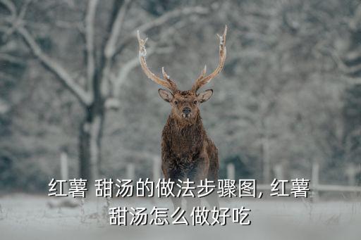  紅薯 甜湯的做法步驟圖, 紅薯 甜湯怎么做好吃