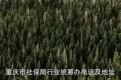 重慶市社保局行業統籌辦電話及地址