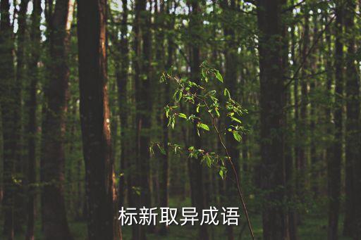 標新取異成語