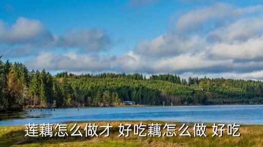  蓮藕怎么做才 好吃藕怎么做 好吃