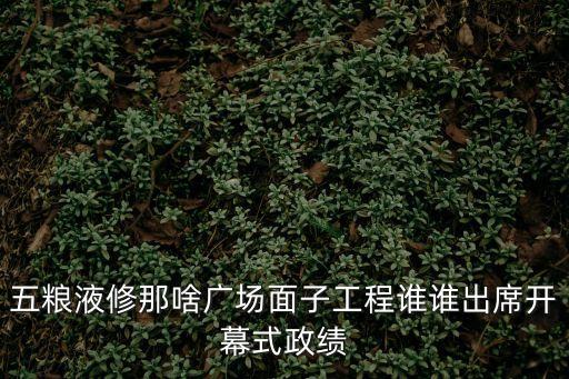 五糧液修那啥廣場面子工程誰誰出席開幕式政績