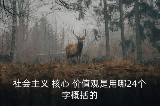 社會主義 核心 價值觀是用哪24個字概括的