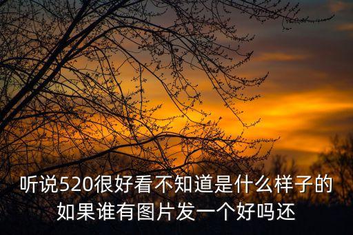 聽說520很好看不知道是什么樣子的如果誰有圖片發一個好嗎還